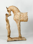 1/2 caballo y mujer
