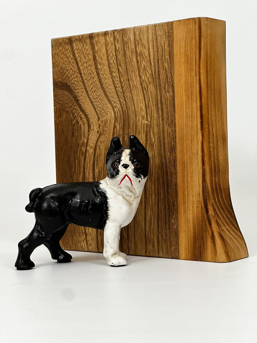 Tyson Boston Terrier