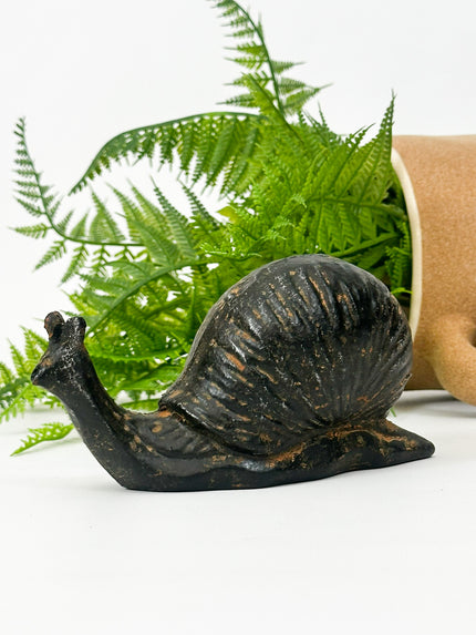 Caracol de metal ox
