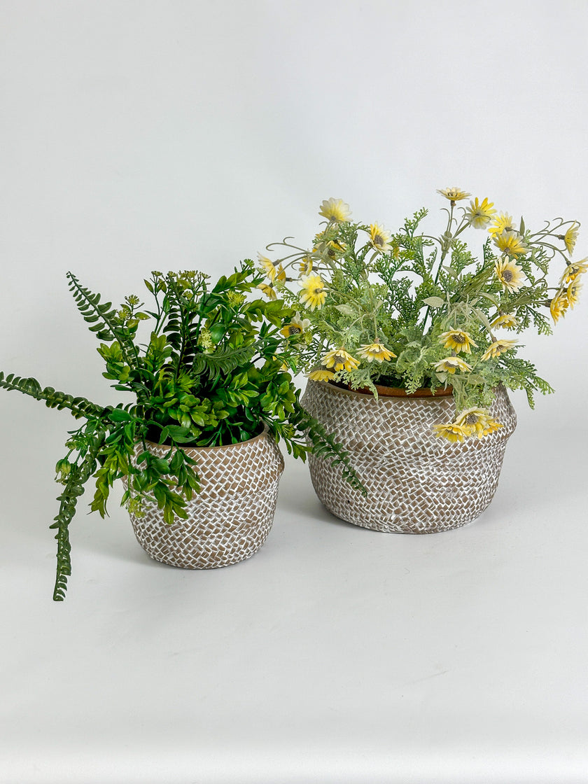 Maceta Madagascar Barro