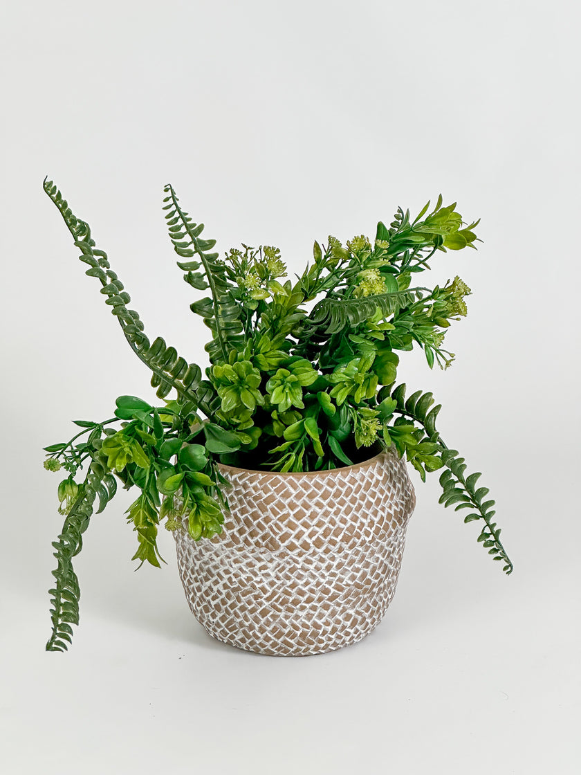 Maceta Madagascar Barro