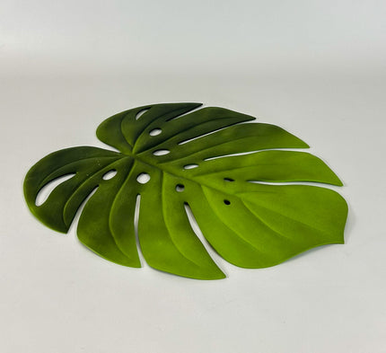 Individual Monstera