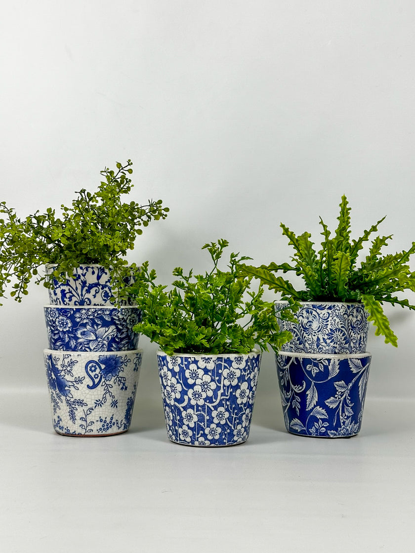 Maceta primavera fondo azul 5 pétalos