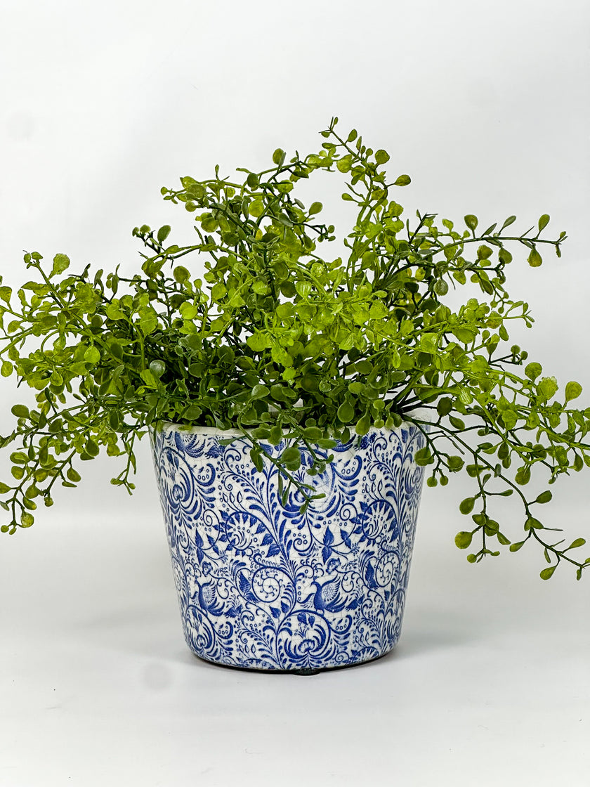 Maceta primavera fondo blanco caracol