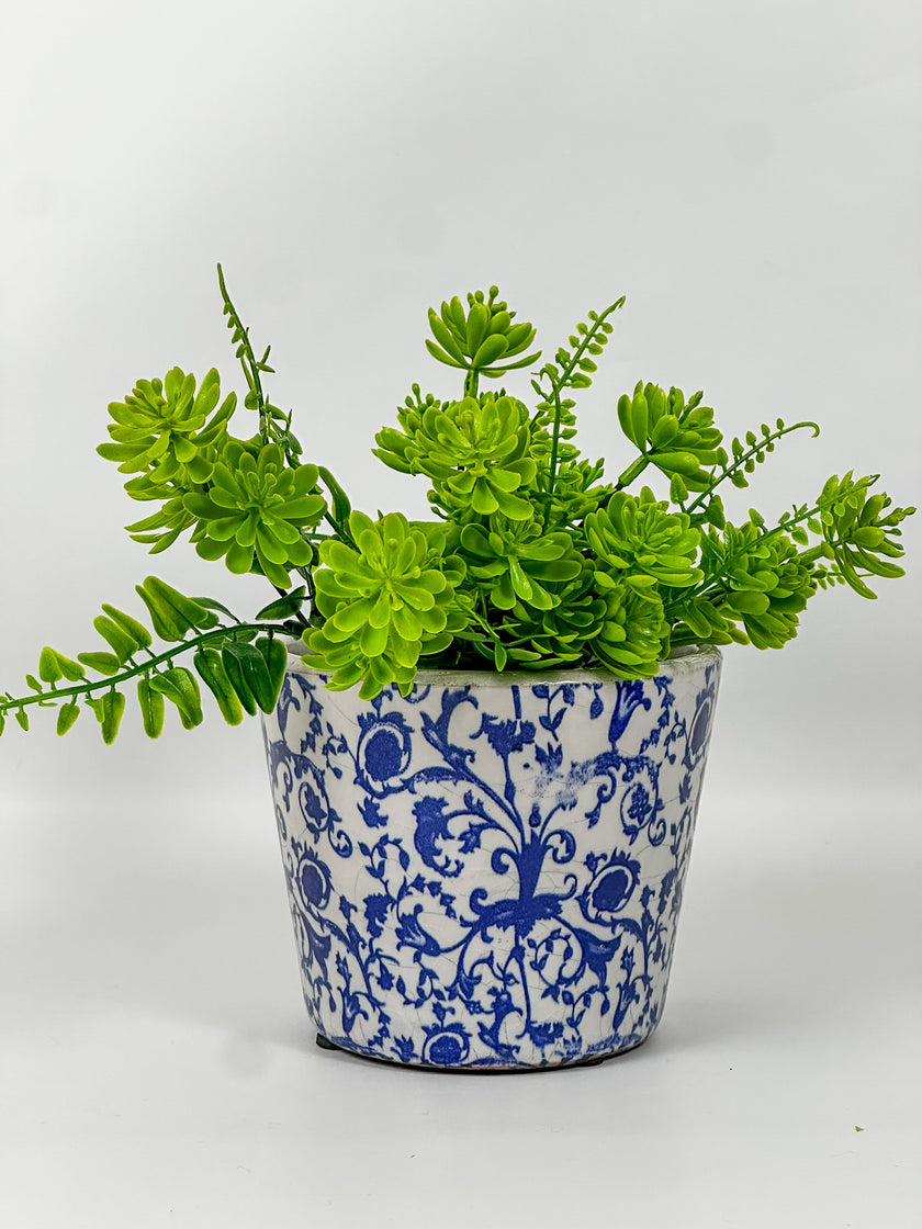 Maceta primavera fondo blanco azucena