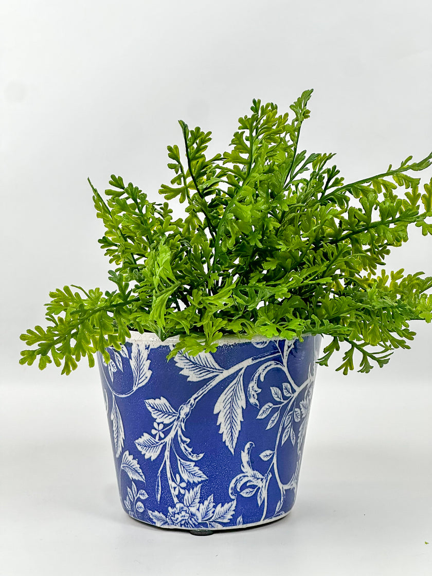 Maceta primavera fondo azul hojas