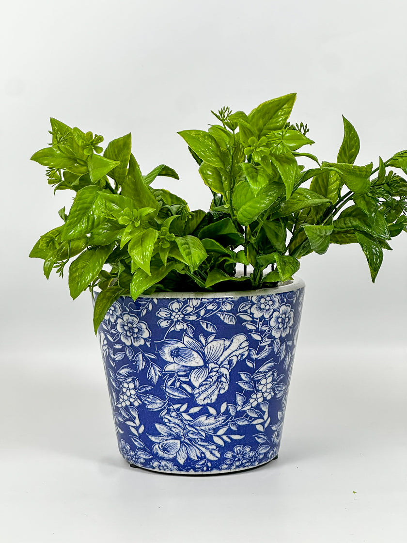 Maceta primavera fondo azul orquídea