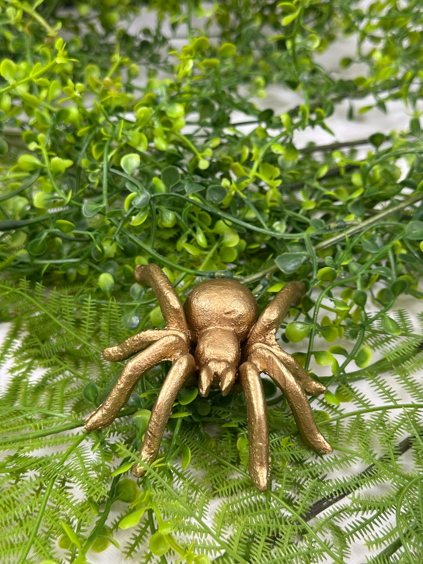 Araña Dorada Chica