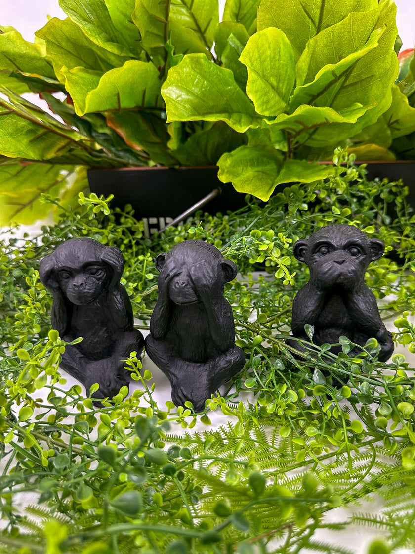 Juego de 3 Changos No, no y NO